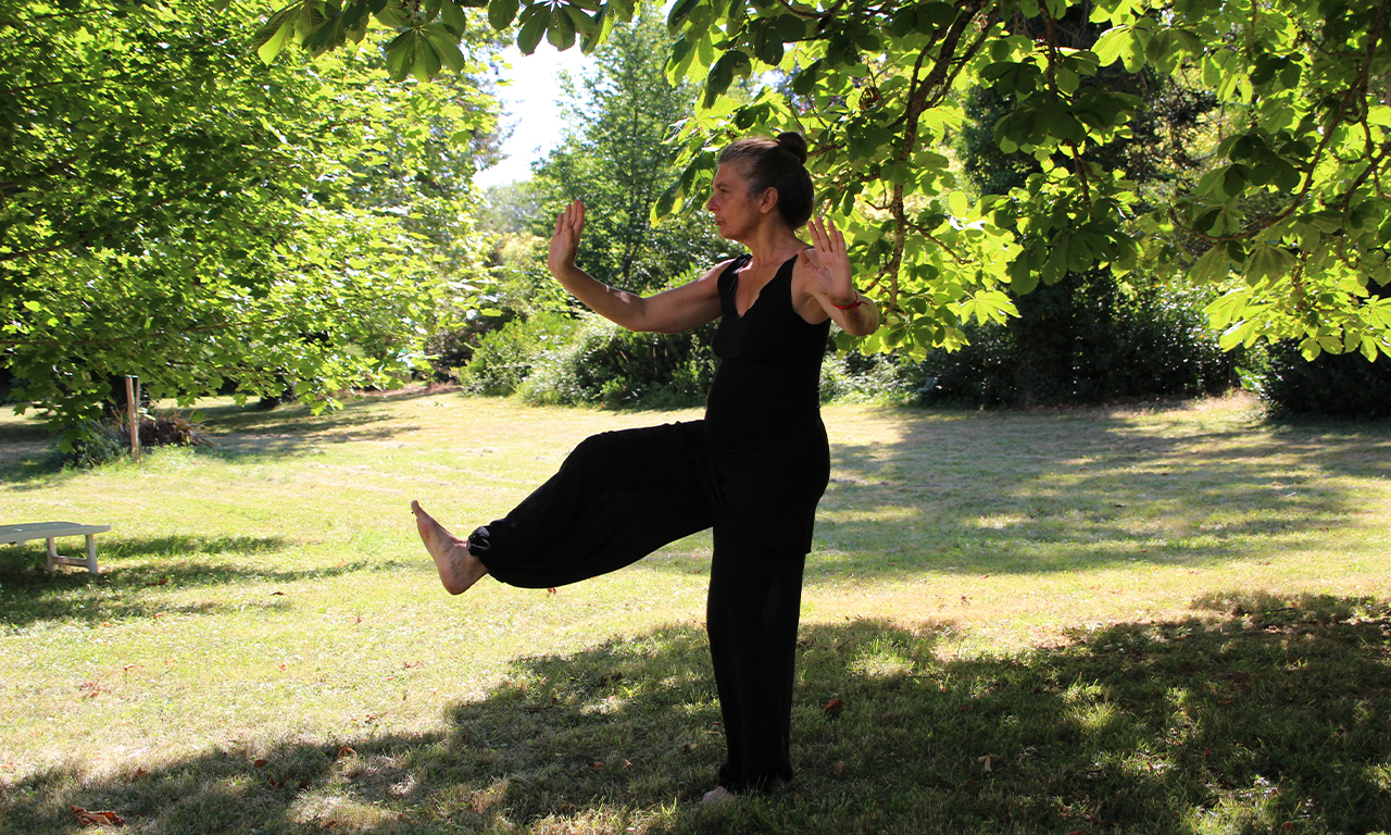 healthscout-therapieform-tai-chi